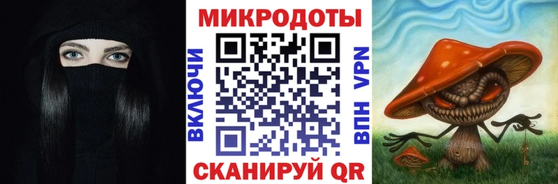даркнет сайт Кодинск Псилоцибиновые грибы Psilocybine cubensis